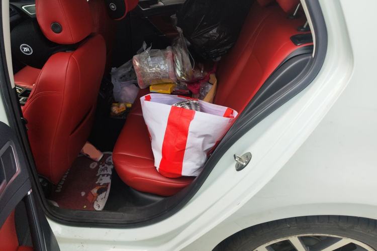 Used Volkswagen Golf 2020 Zhiai Edition 200TSI DSG Comfortable & Ambitious Version Left Rear Seat