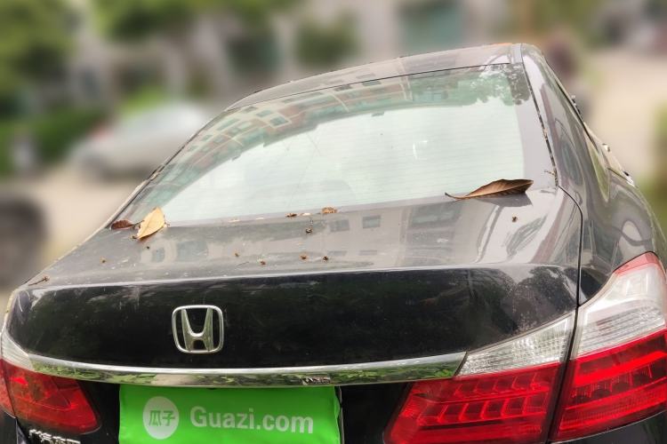 Used Honda Accord 2014 2.4L EXN Luxury Navigation Edition Rear