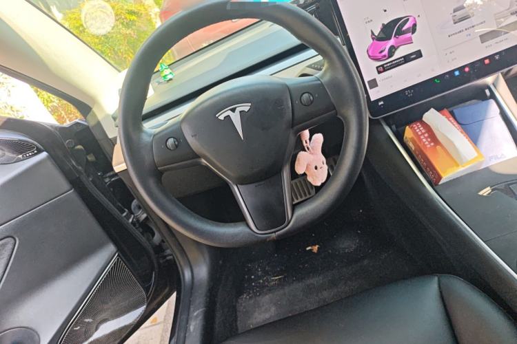 Used Tesla Model 3 2020 Standard Range Rear-Wheel Drive Upgraded Version
