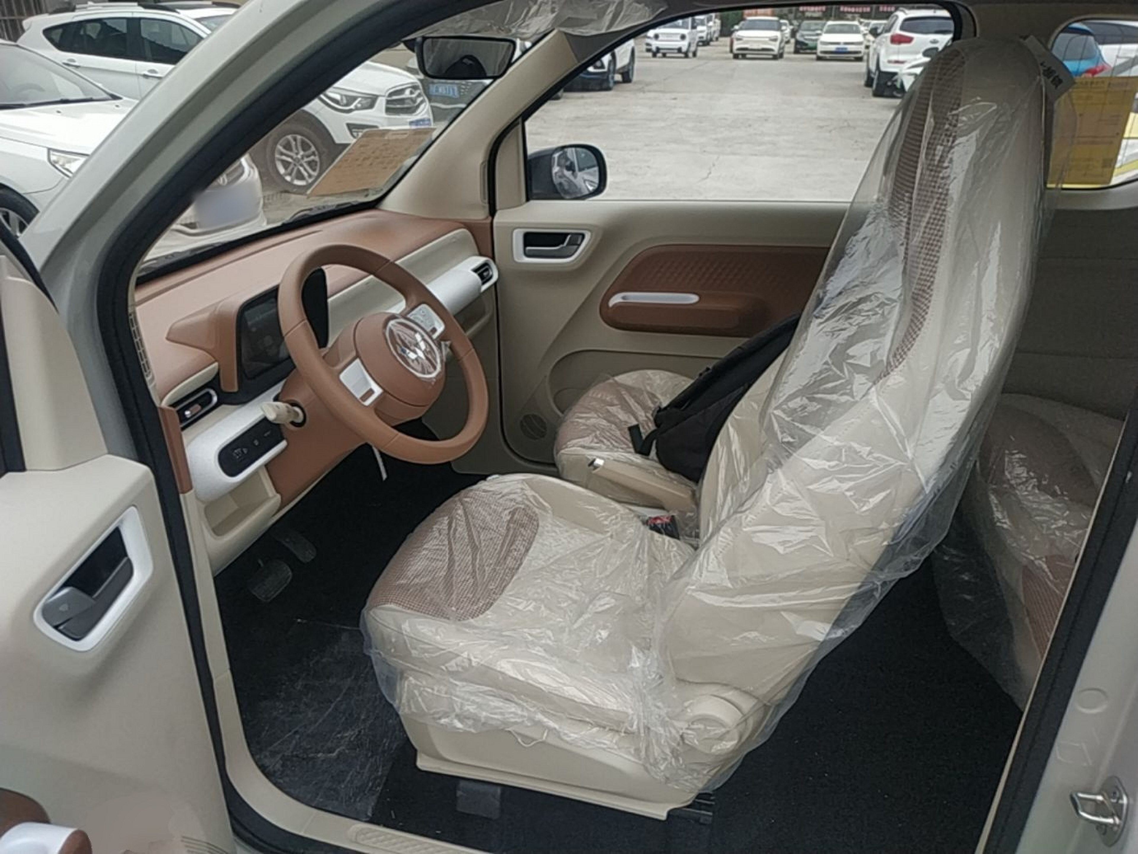 Interior delantero