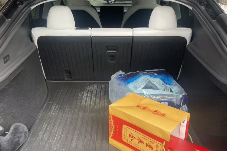 Used Tesla Model Y 2025 Updated Version Long-Range All-Wheel Drive
