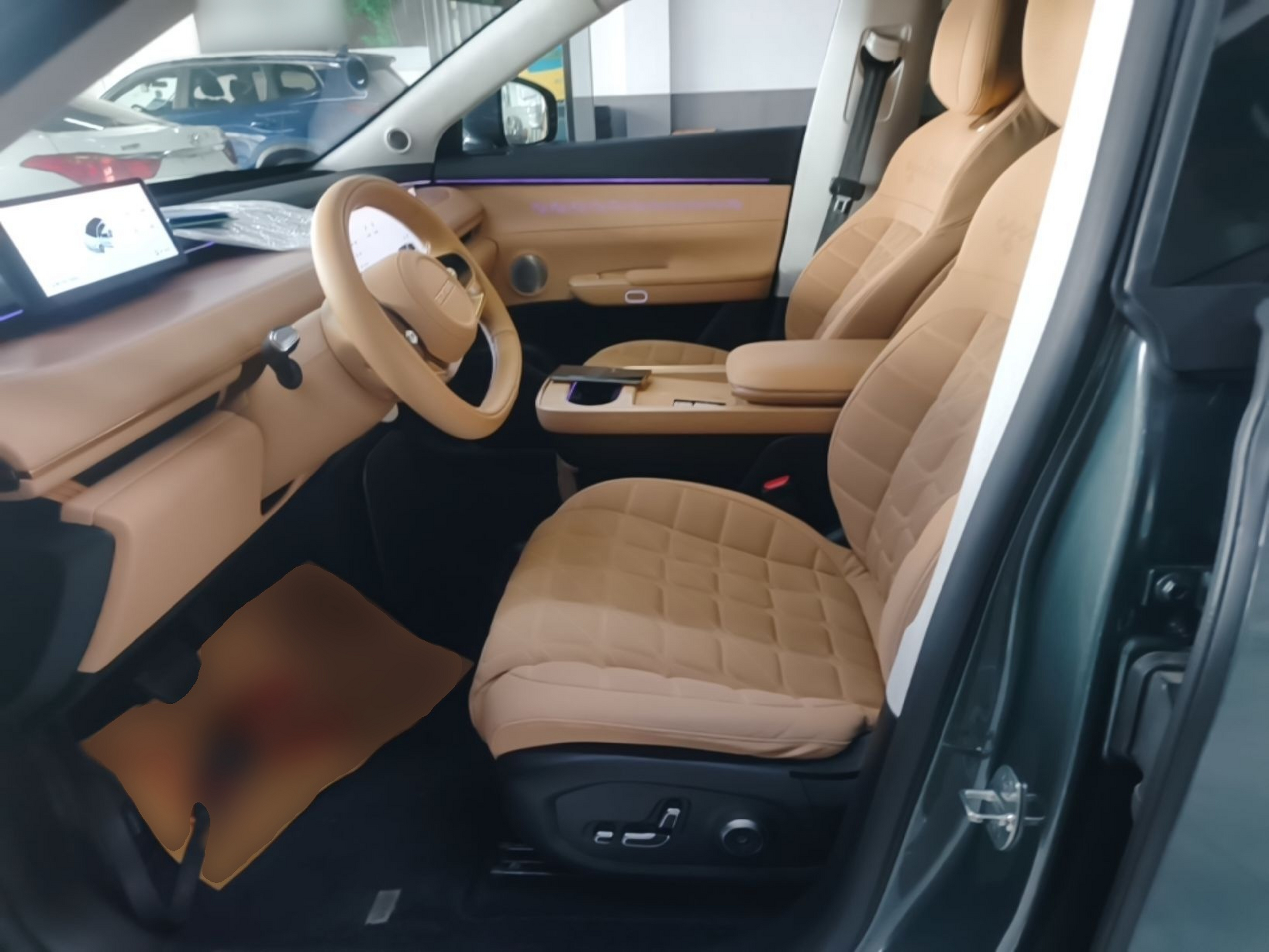 Interior delantero