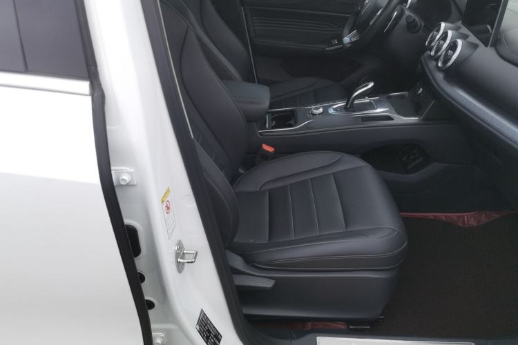 Used Wey VV5 2020 1.5T Two-Wheel Drive Color Pioneer Right Front Seat