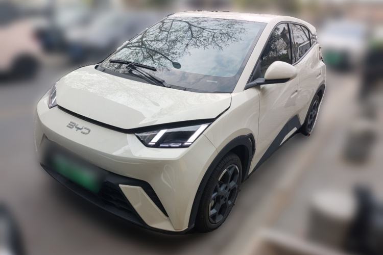 Used BYD Seagull 2024 Honor Edition 305km Freedom Version