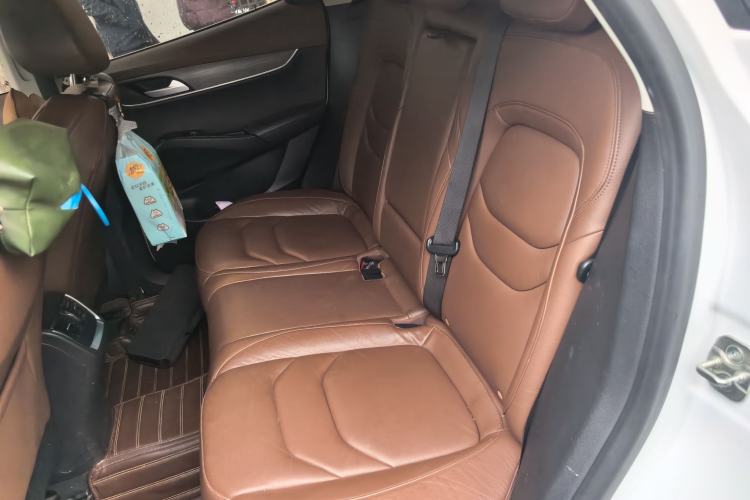 Used BORGWARD BX5 2017 25TGDI Automatic Two-Wheel Drive Fashion Model
