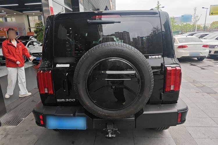 Used Tank 300 2024 2.0T Crosser Rear