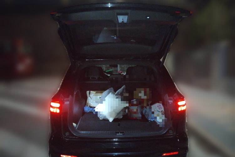 Used Geely Auto Monjaro L 2024 2.0TD DCT EVO Two-Wheel Drive Long-Range Version
