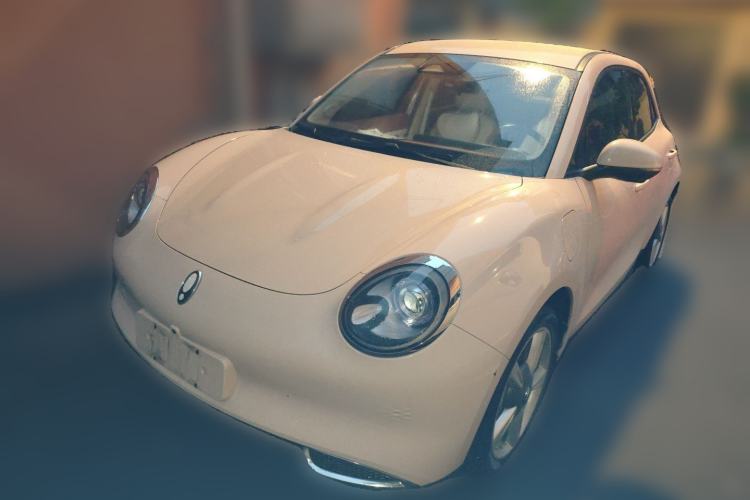 Used ORA Good Cat 2023 401 km Standard Range Luxury Version Lithium Iron Phosphate