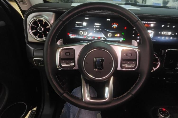 Used Tank 300 2023 City Edition 2.0T—Stylish as Ever