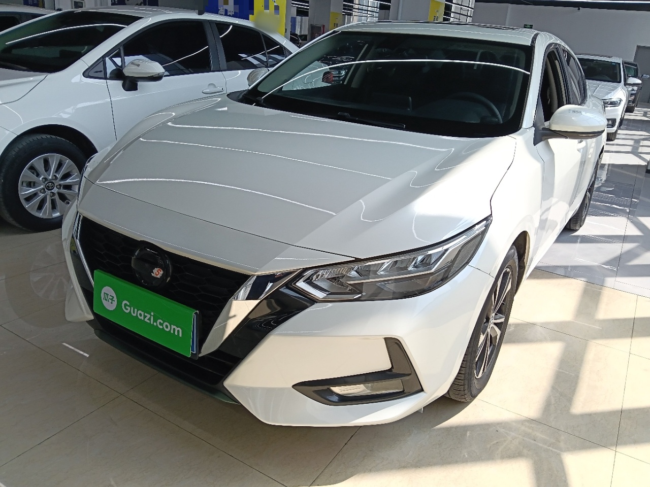 Parte inferior delantera