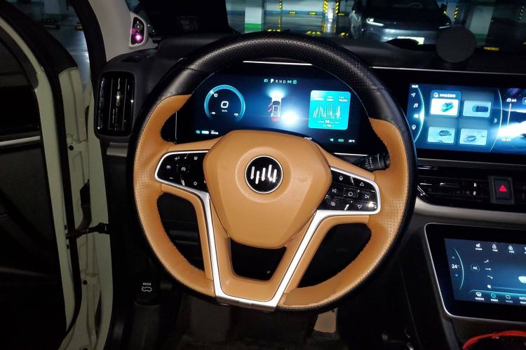 Used WM Motor W6 2021 520km PRO All-Round Edition
