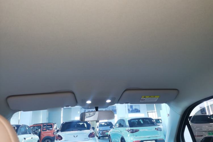 Used Leapmotor T03 2023 310 Lite Edition Headliner