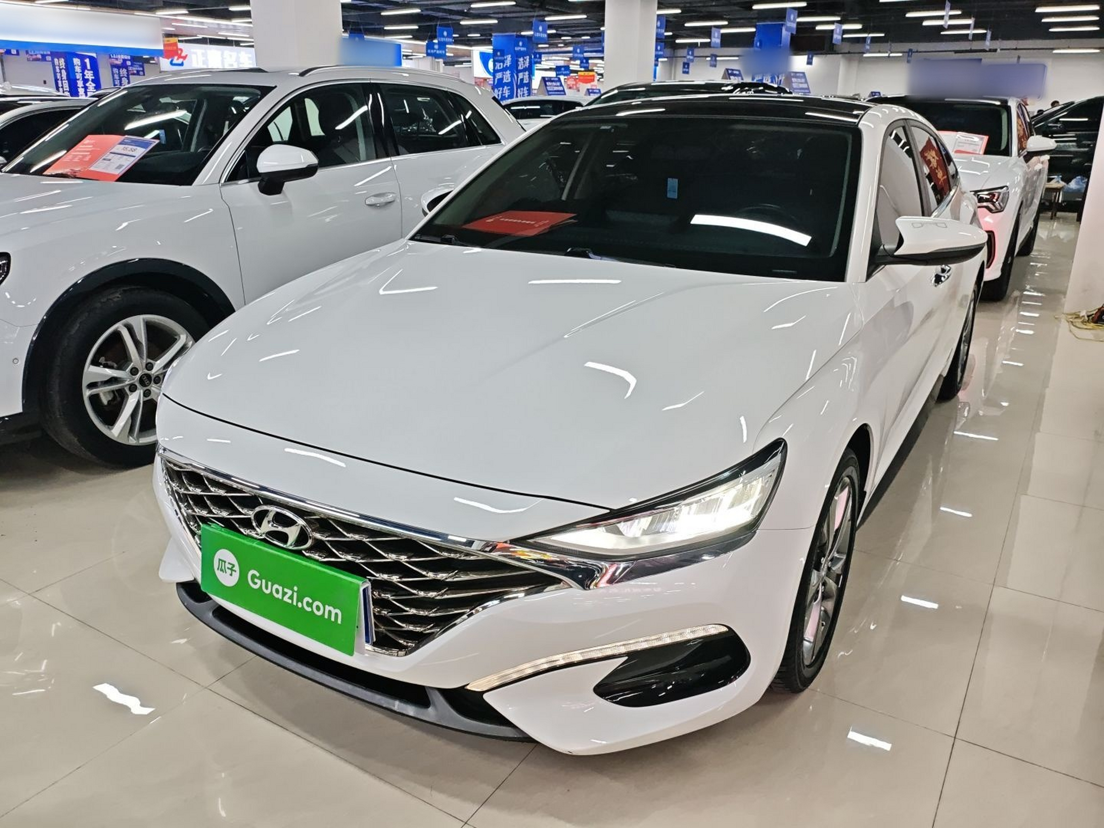 Parte inferior delantera