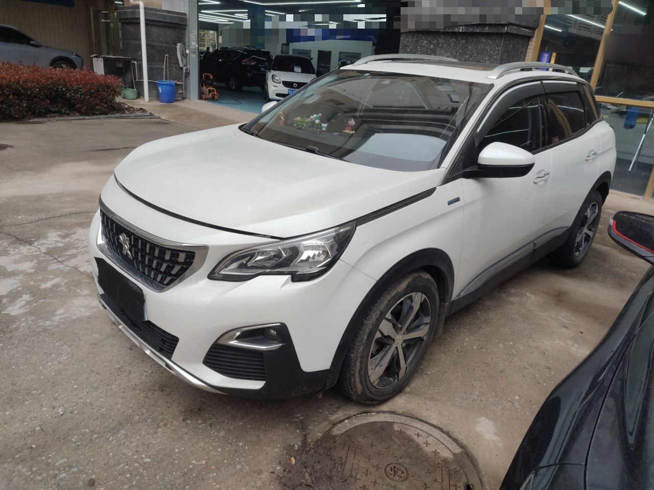 Parte inferior delantera