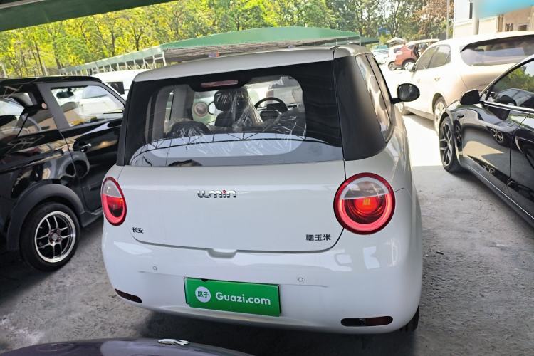 Used Qiyuan Lumin 2025 205 km Xiangqin Version