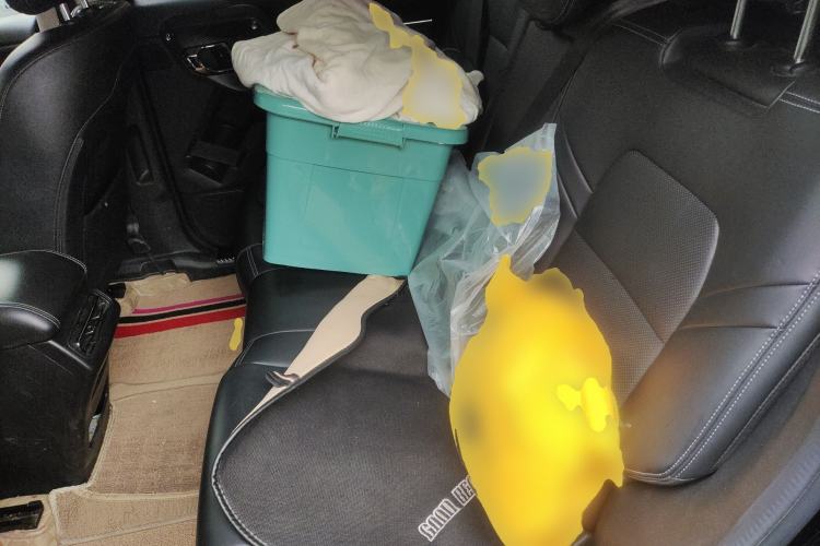 Used Haval H Dog 2023 1.5T Two-Wheel Drive Chao Ye Version Plus Left Rear Seat