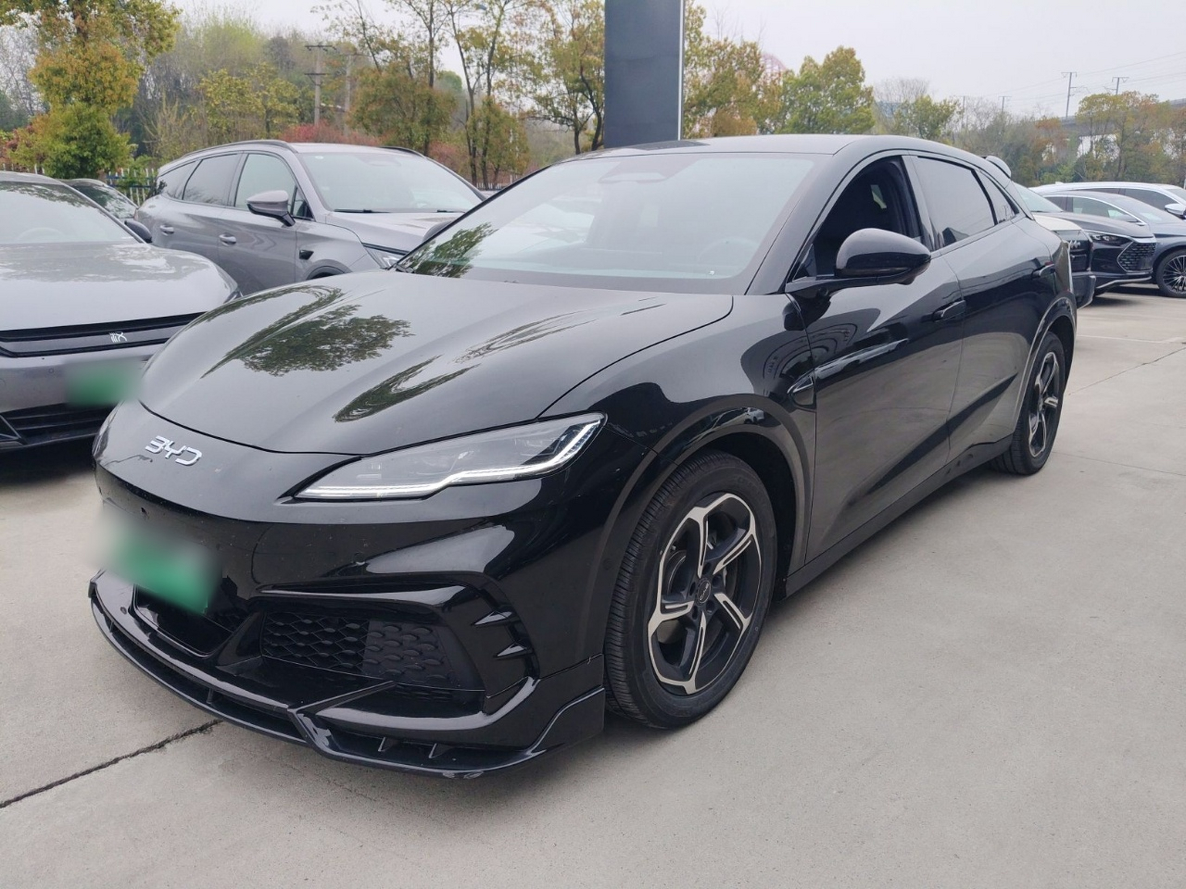 Parte inferior delantera