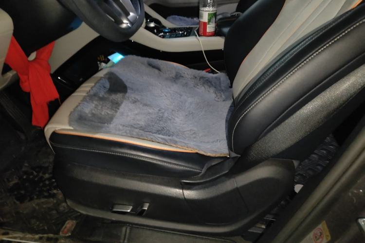 Used BYD Song PLUS New Energy 2021 DM-i 110KM Flagship PLUS Left Front Seat