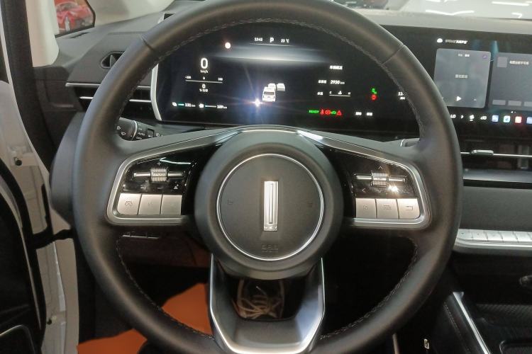 Used Wey Gaoshan 2023 Four-Wheel Drive Flagship Edition
