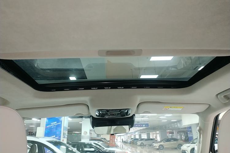 Used Cyberspace Tank 300 2021 2.0T Cyber Tank