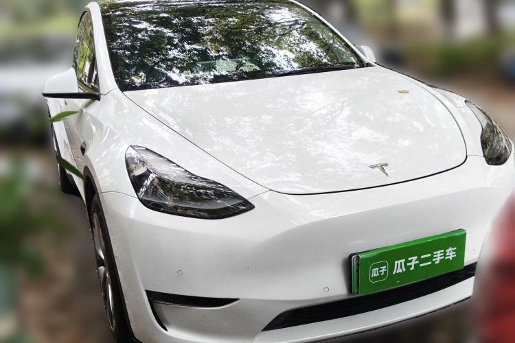 Used Tesla Model Y 2021 Standard Range Rear-Wheel Drive Version
