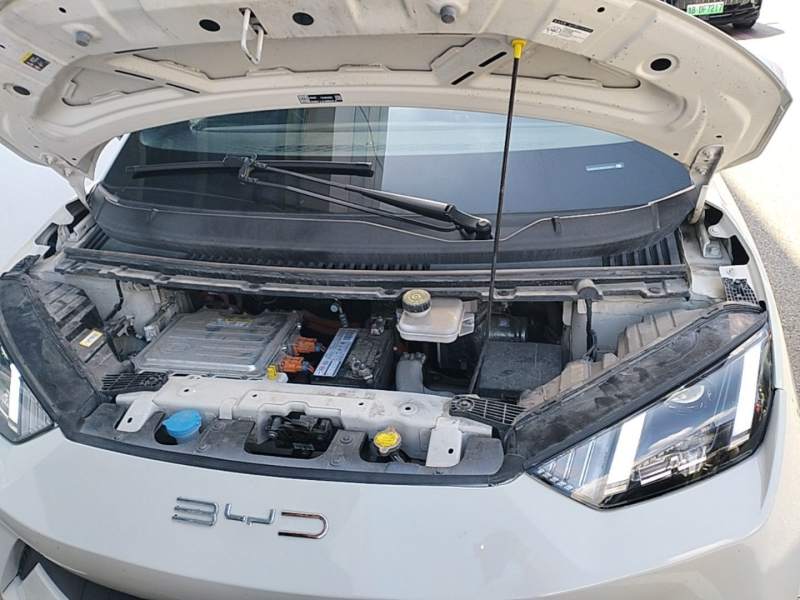Used BYD Seagull 2024 Honor Edition 405km Flying Version — 19