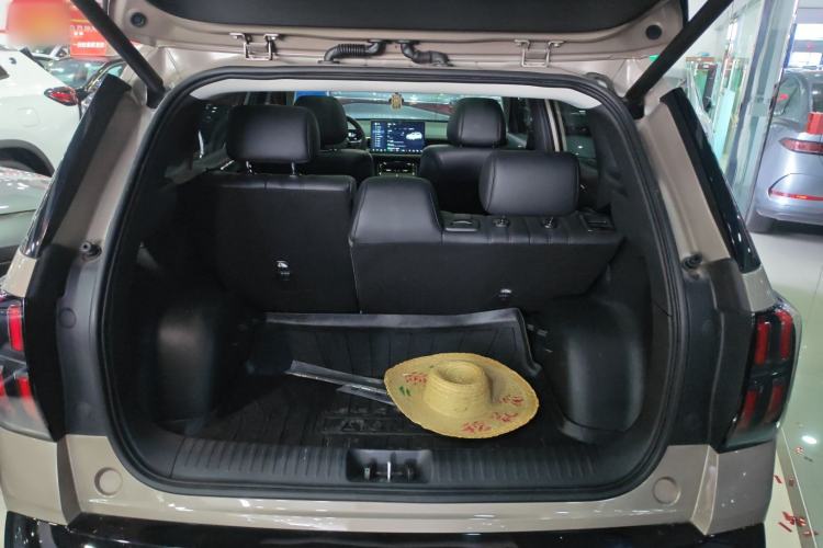 Used AION V 2024 Aion Tyrannosaurus 650 Smart Premium Edition