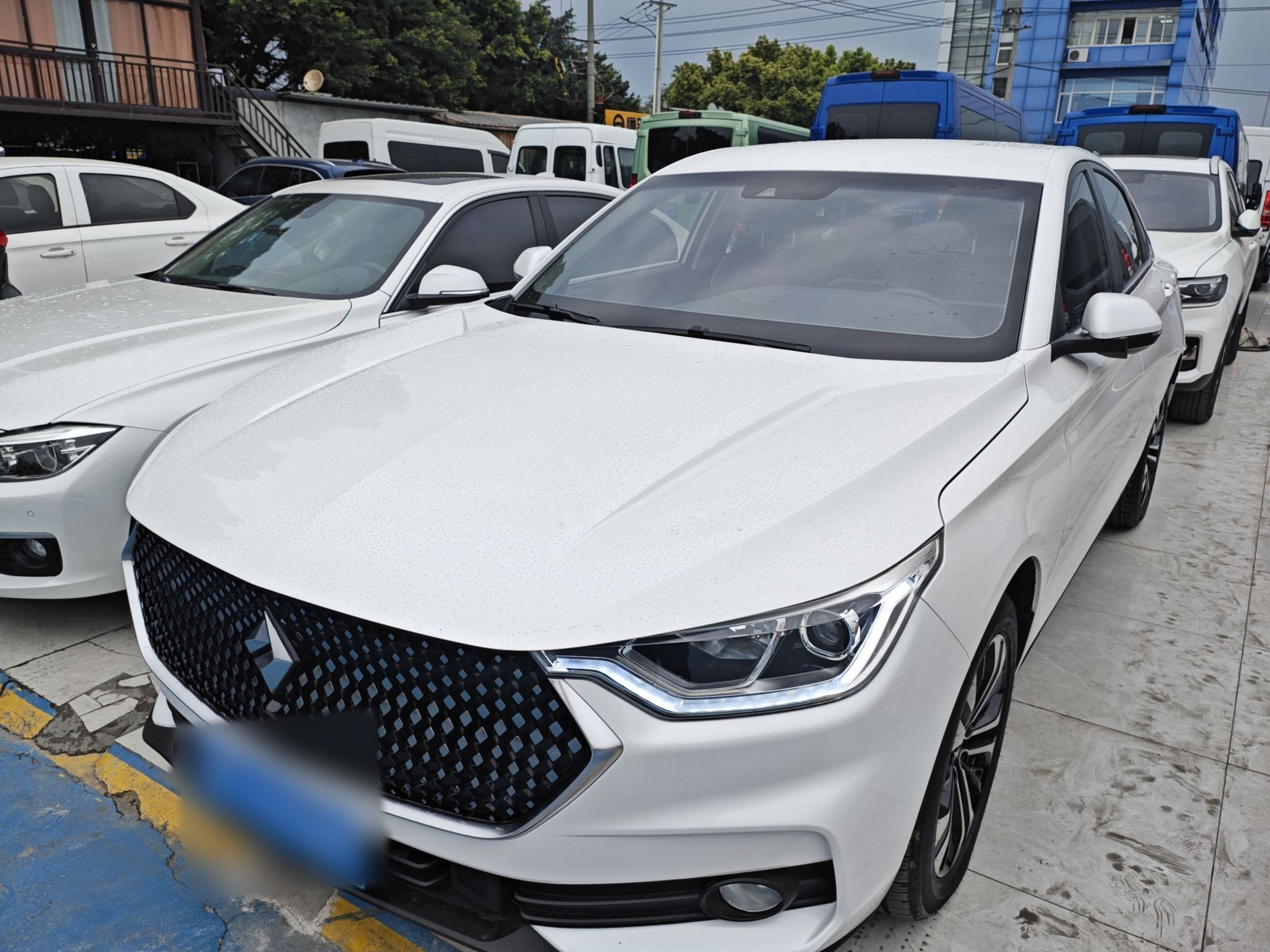 Parte inferior delantera