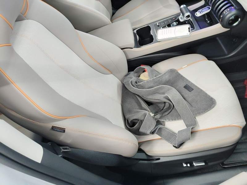 Used BYD Yuan PLUS 2023 Champion Edition 430KM Superior Model — 24