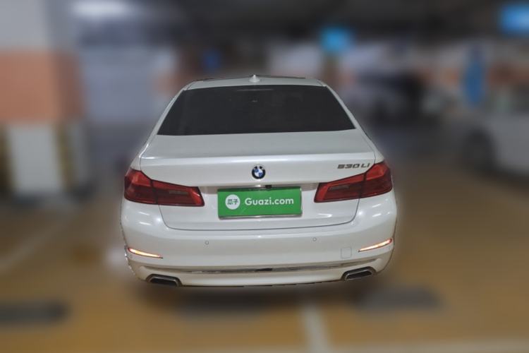 Used BMW 5 Series 2019 530Li Leading Model Luxury Package
