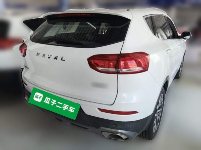 Used Haval H6 2020 1.5 GDIT Automatic Platinum Champion Edition — 6