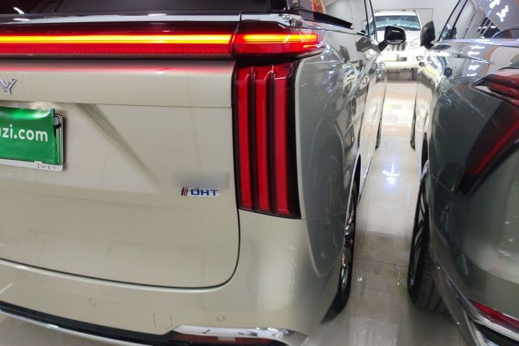 Used Wey Gaoshan 2023 Four-Wheel Drive Flagship Edition
