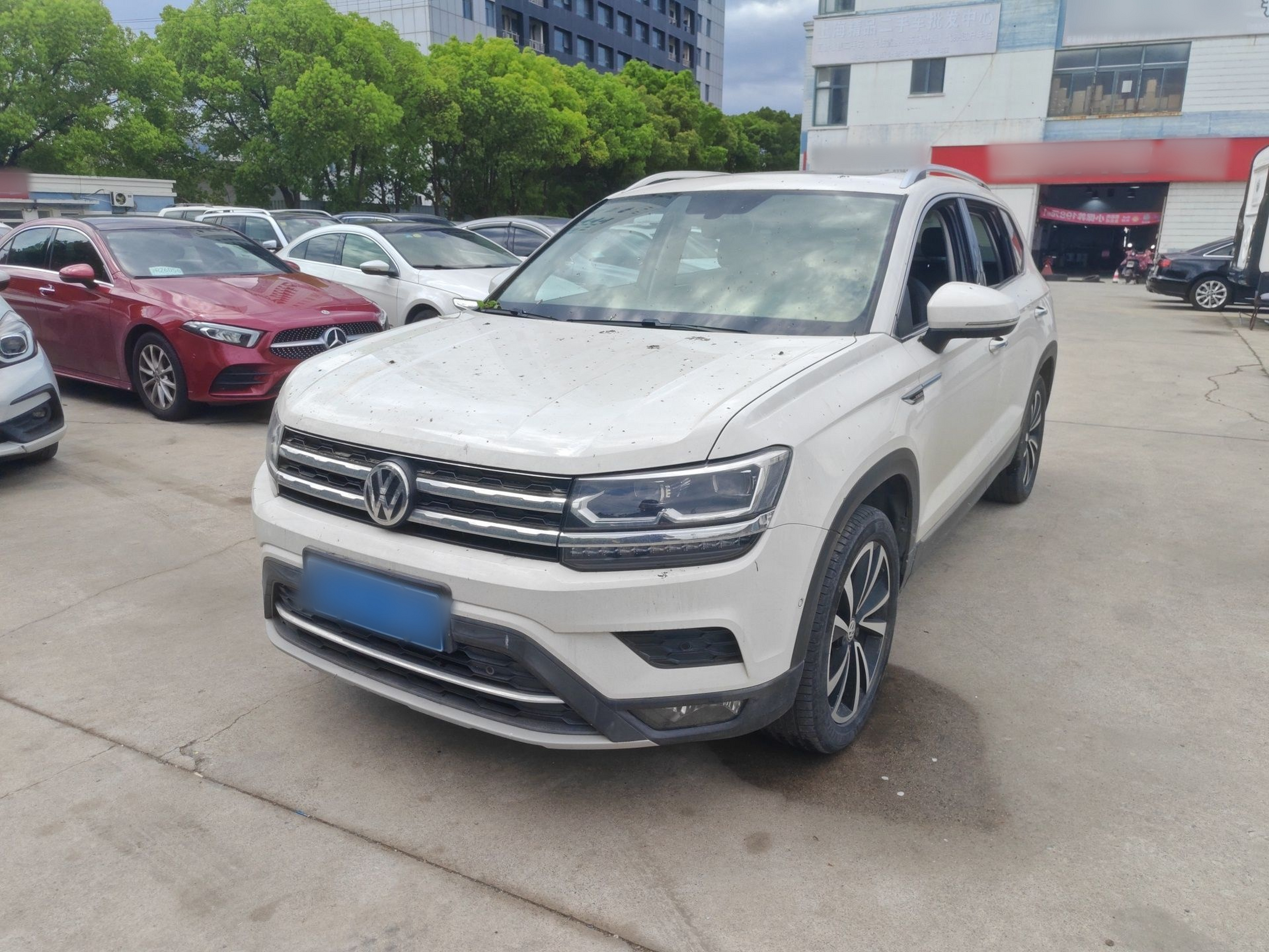 Parte inferior delantera