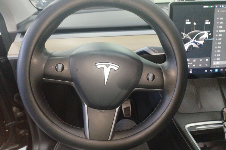 Used Tesla Model Y 2021 Standard Range Rear-Wheel Drive Version
