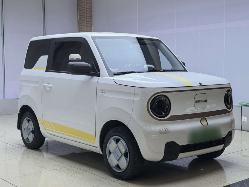 Geely Galaxy Panda 2024 Panda Mini 200km Endurance Bear — снимка 13