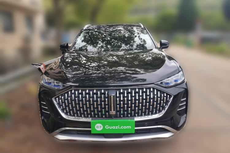 Used Wey Mocha 2021 2.0T Four-Wheel Drive Premium Edition
