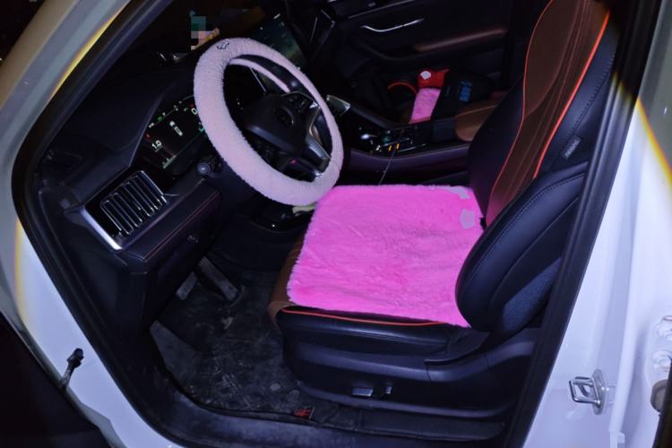 Used BYD Song PLUS 2020 1.5T Automatic Flagship Edition