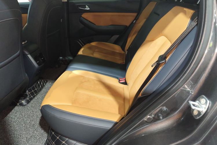 Used GAC Trumpchi GS4 2020 270T Automatic Luxury Edition Left Rear Seat