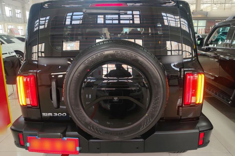 Used Tank 300 2024 2.0T Conqueror
