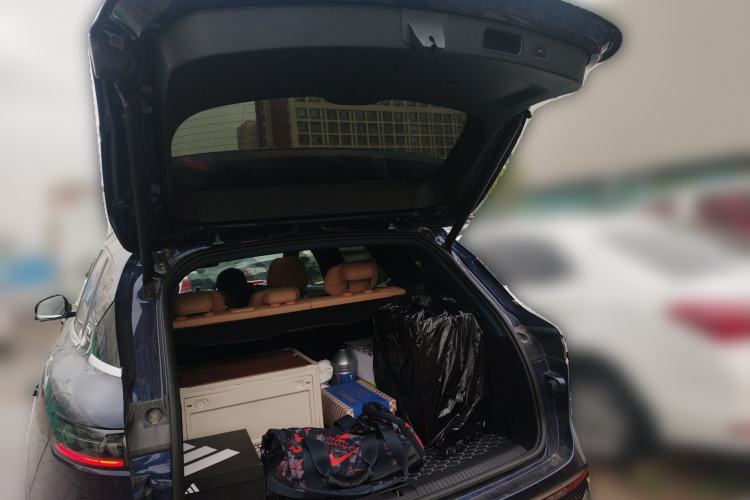 Used VOYAH FREE 2021 Four-Wheel Drive Standard Range-Extended Version
