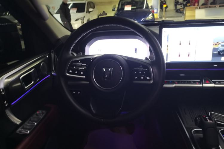 Used Tank 400 New Energy 2024 Hi4-T City Edition Steering Wheel