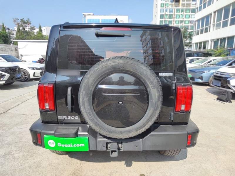 Used Tank 300 2024 2.0T Conqueror — 5