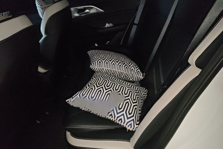 Used Geometry E Firefly 2023 401KM Linglong Tiger 5-Seater
