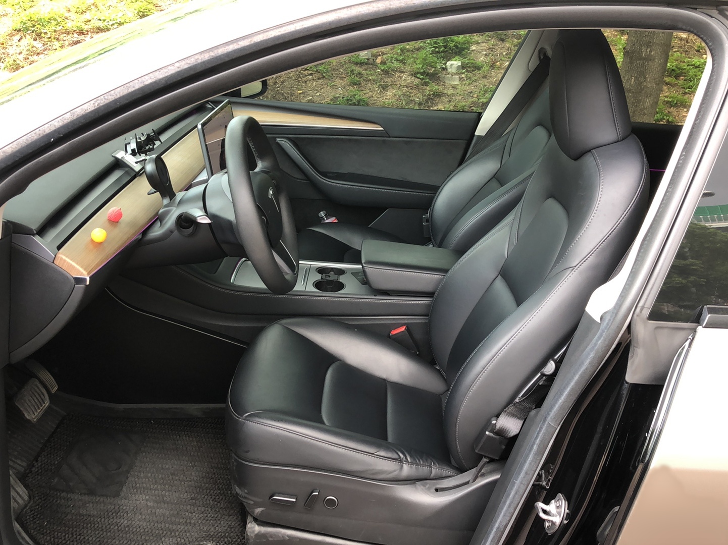 Interior delantero