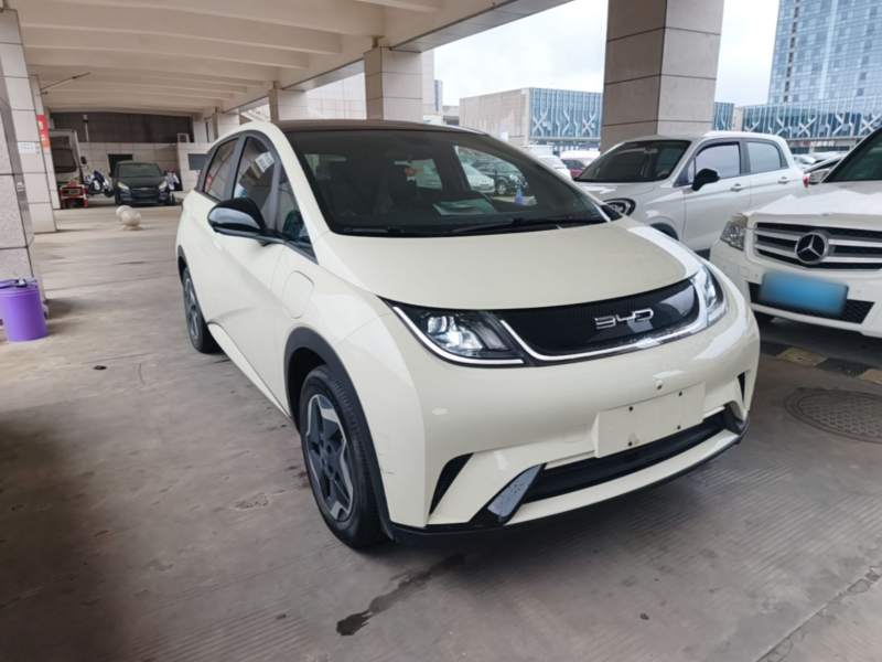 Used BYD Dolphin 2021 405 km Fashion Edition — 3
