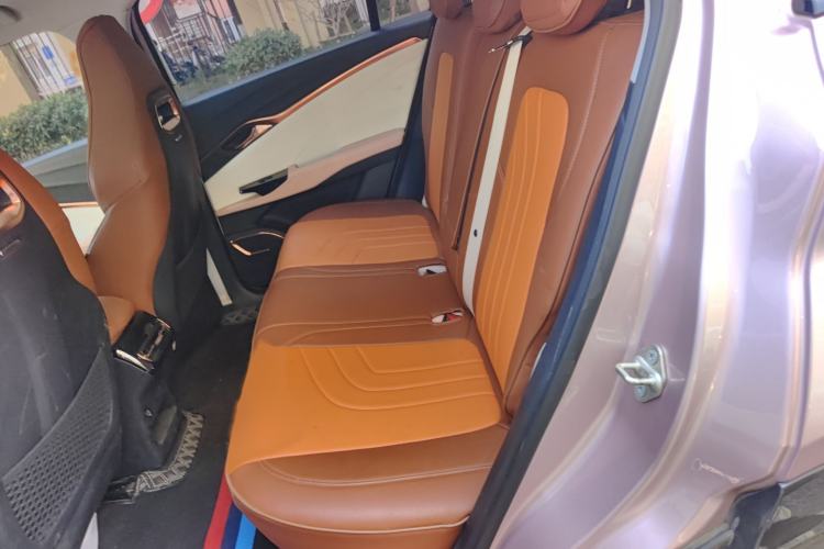 Used NETA U 2022 NETA U-Ⅱ 500 Lithium Iron Phosphate