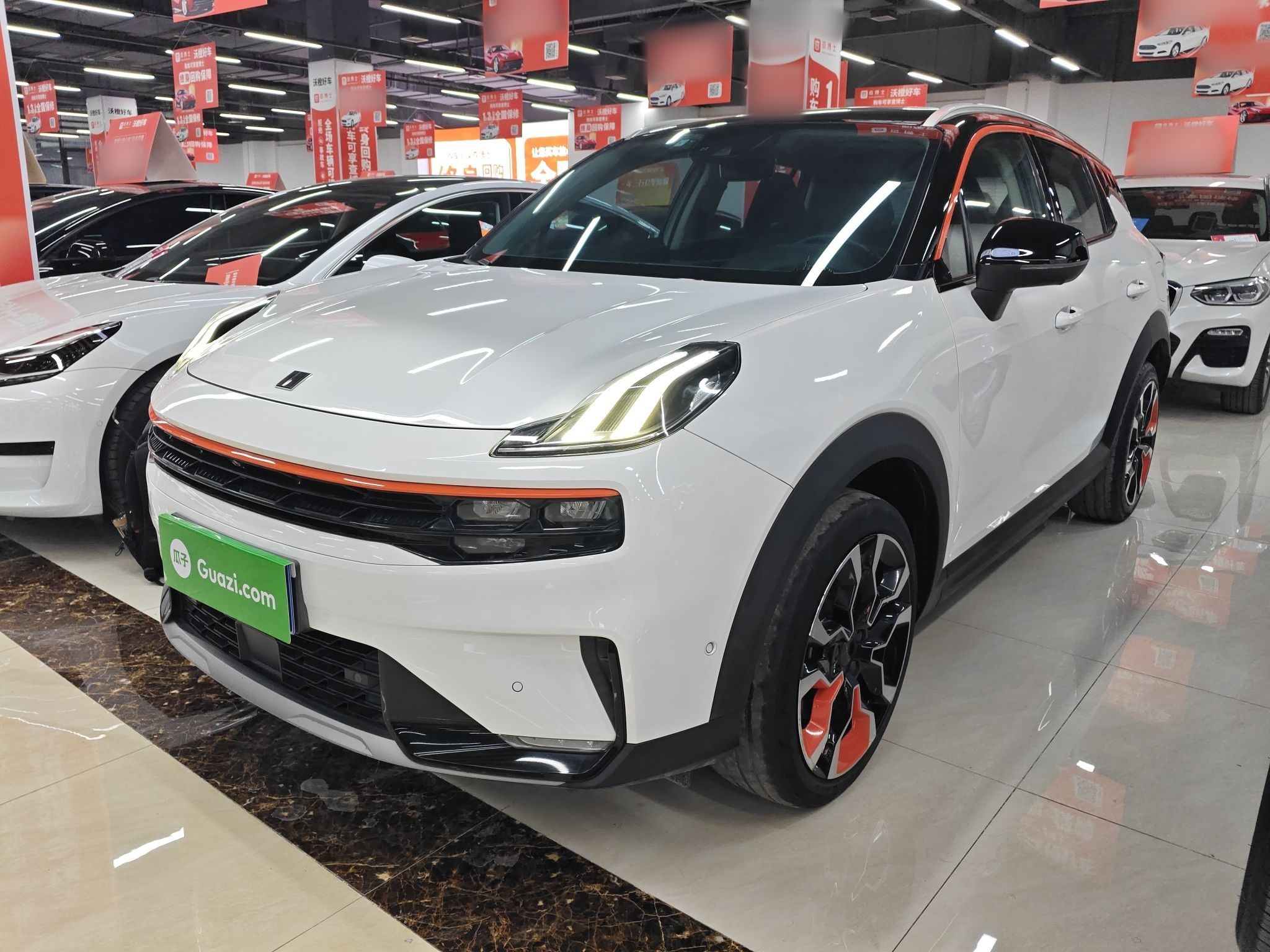 Parte inferior delantera