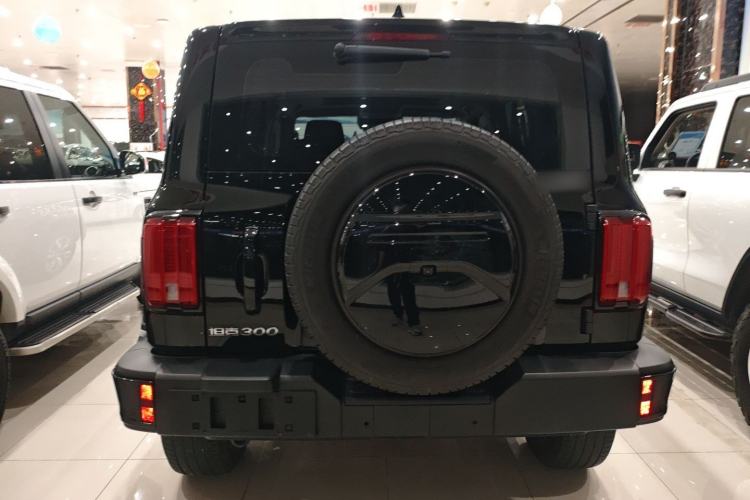 Used Tank 300 2024 2.0T Crosser