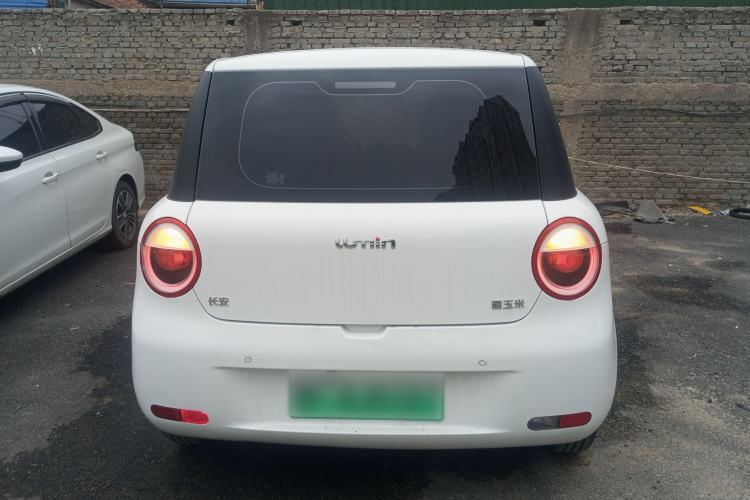 Used Qiyuan Lumin 2023 205km Xiangqin Version