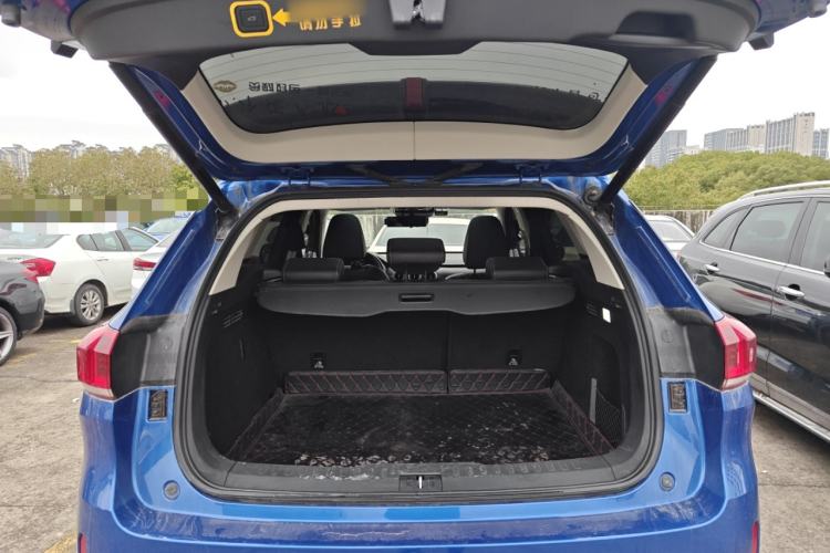 Used Wey VV6 2021 2.0T Two-Wheel Drive Smart Protection+
